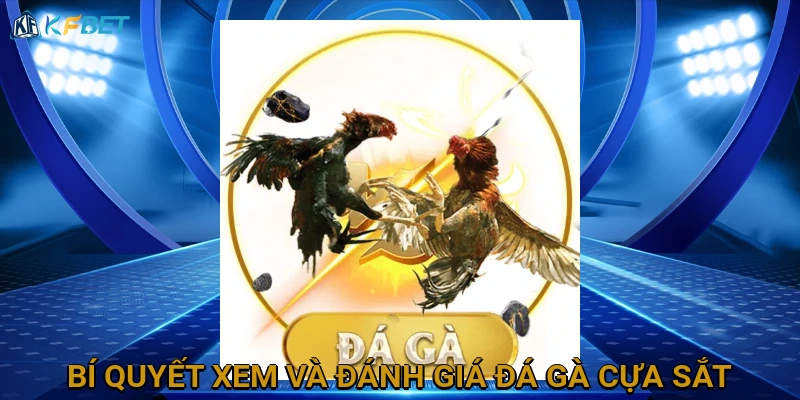 bi-quyet-xem-va-danh-gia-da-ga-cua-sat