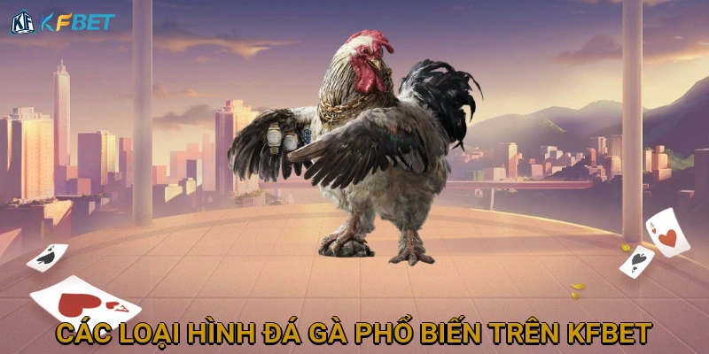cac-loai-hinh-da-ga-pho-bien-tren-kfbet