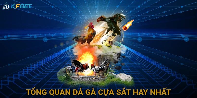 tong-quan-da-ga-cua-sat-hay-nhat