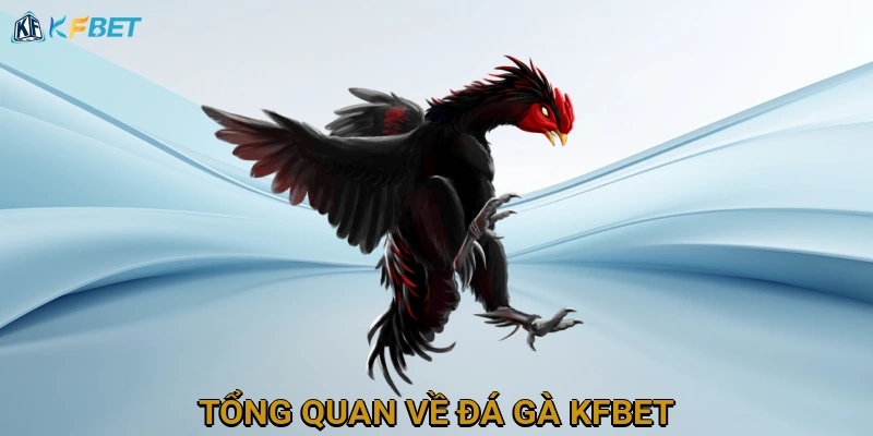 tong-quan-ve-da-ga-kfbet